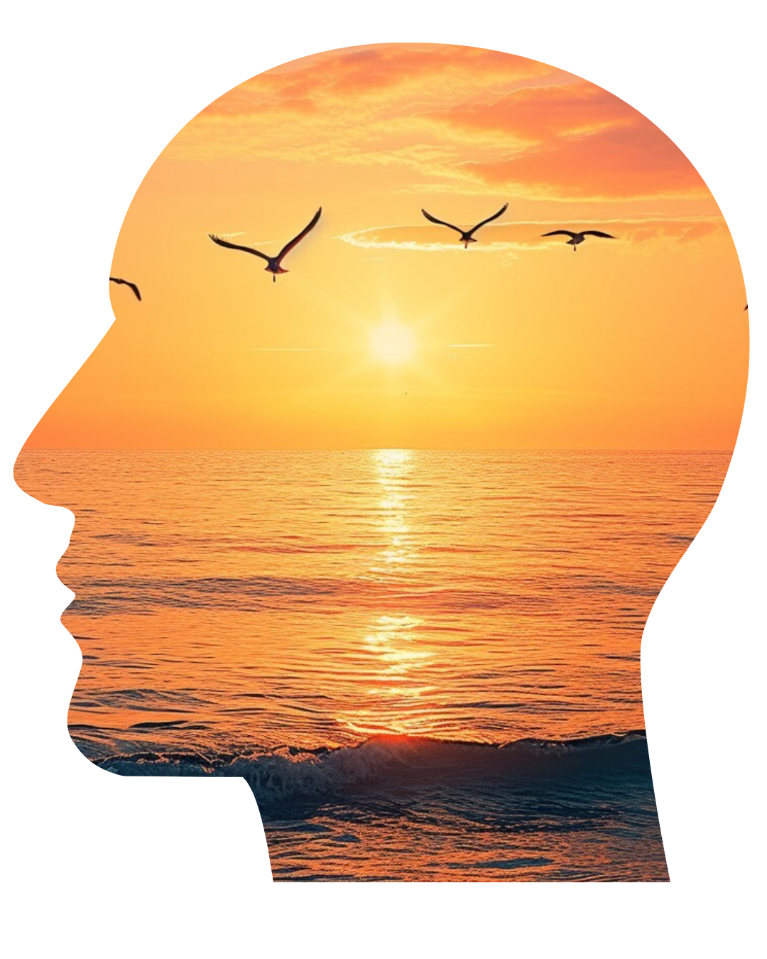 HolisticEQ Logo